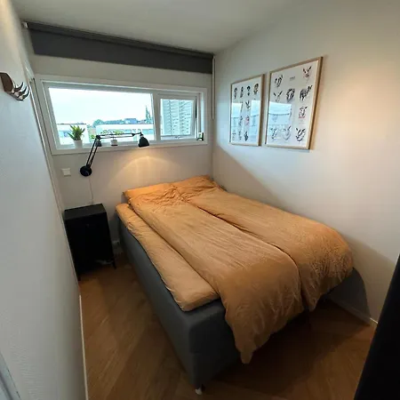 Modern - Perfect For Ons 2024